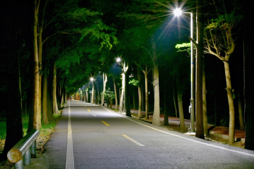 騎乘更安全  中市3旗艦自行車道汰換節能LED燈