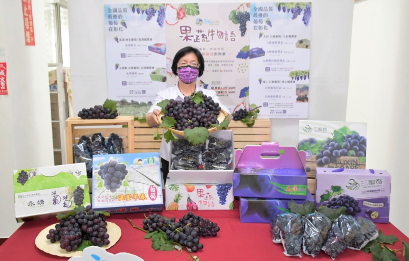 王惠美縣長促銷彰化優質葡萄。（照片縣府提供）