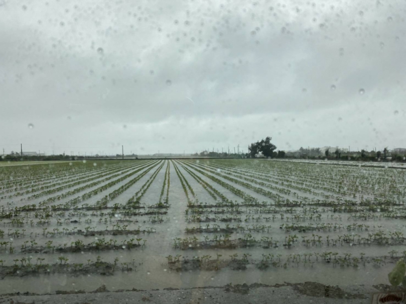 連日豪大雨，彰化縣農作物嚴重災損。（照片縣府提供）