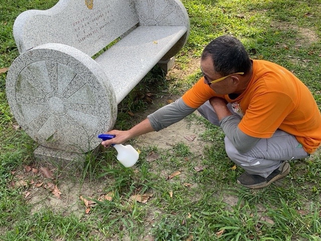 「疣胸琉璃蟻」現蹤大愛公園 　霧峰公所投餌防治