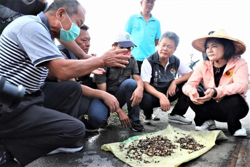 雲林養殖文蛤不敵激烈天氣變化幾乎全軍覆沒！ 縣長張麗善：籲請中央速公告天然災害現金救助 助養殖業者度難關！