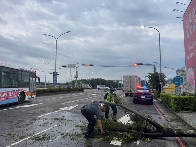 大雨夜半狂炸！路樹塌阻交通  烏日警不畏風雨速排除