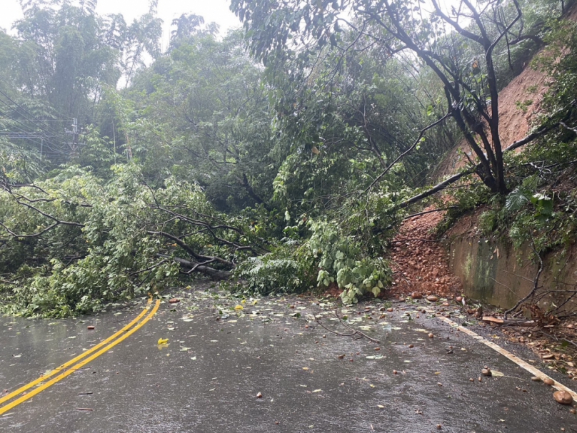 員林強降雨，員草路邊坡滑動，路樹倒塌，土石滑落。（照片警方提供）