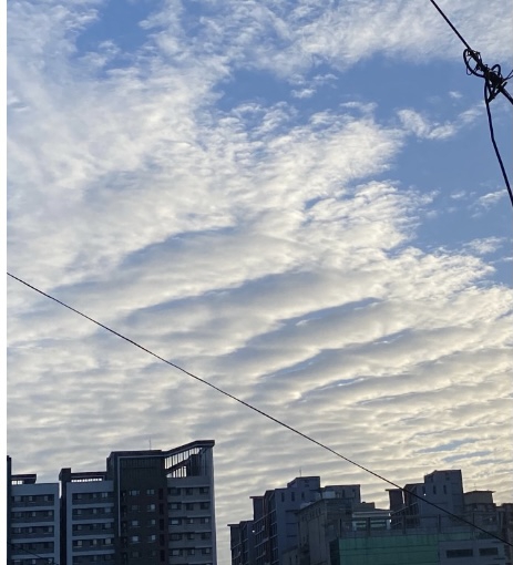 千層派｜ㄧ串串、ㄧ層層，晨間高積雲，美得像是一首詩！