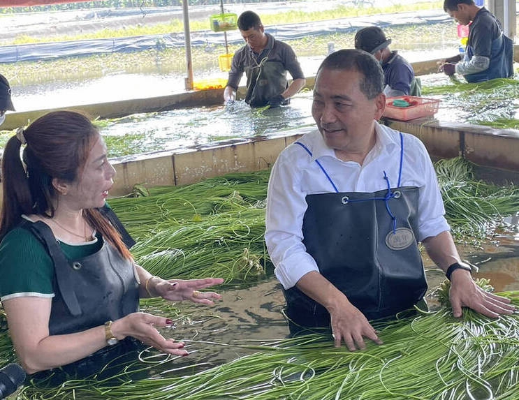 侯友宜走訪高雄美濃體驗採野蓮提三大移工政策讓台灣產業不缺工