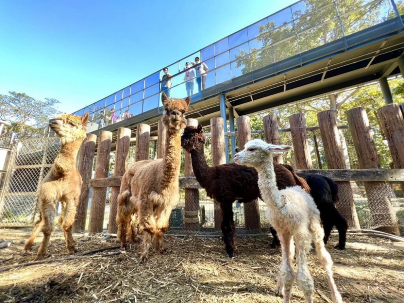 高雄壽山動物園友善設計獲台灣建築獎首獎