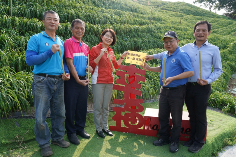 參管處長曹忠猷(右2）、立委黃秀芳（左3）、議員李成濟（右1）、虎山巖主委林天潤（左2）猜測第一朵金針花何時開花。（照片參管處提供）