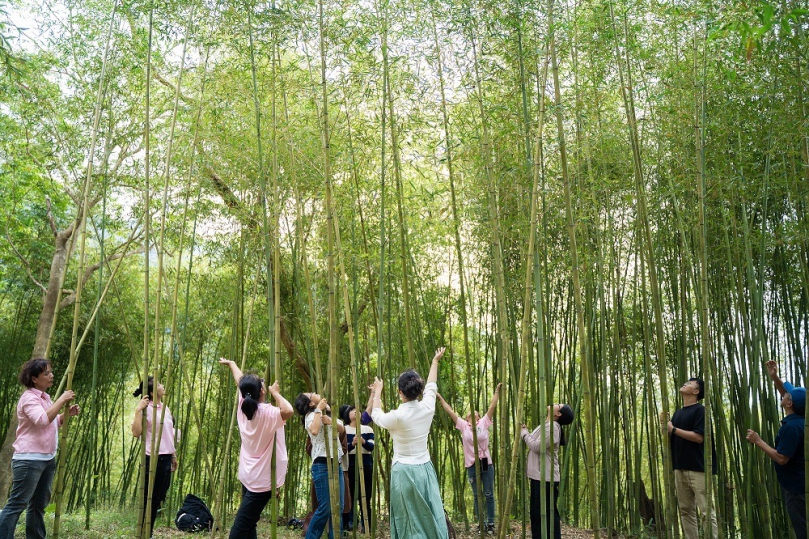 竹博覽會｜富里「竹間天地」精彩開幕