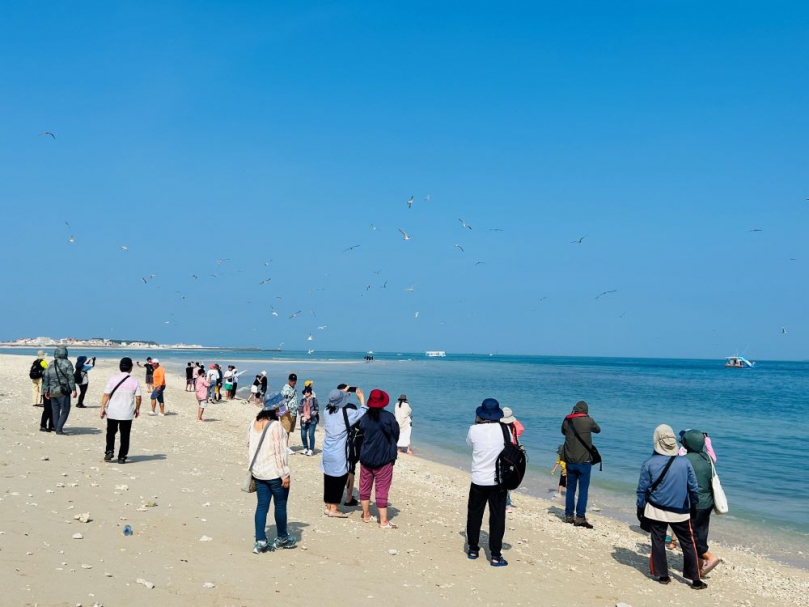 『2024澎湖四季旅遊』春之賞鷗季-跳島賞岩賞鷗樂  歡迎熱烈報名!