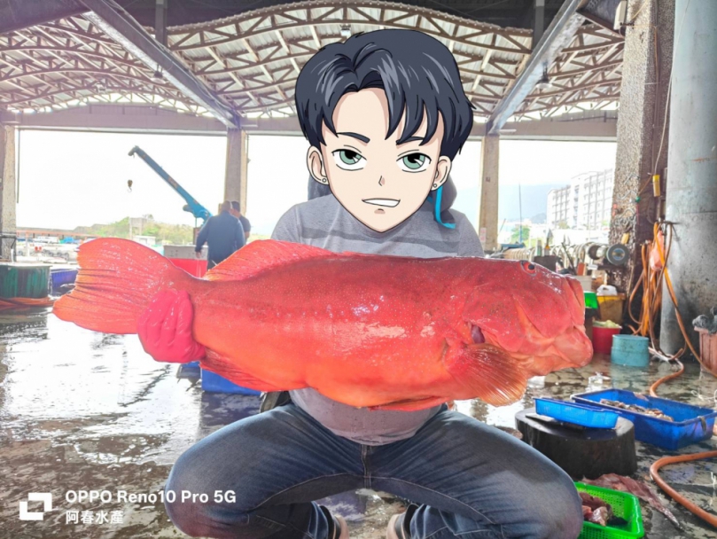 大紅條｜7.7公斤，臺灣東部手釣，紅通通、大吉大利！