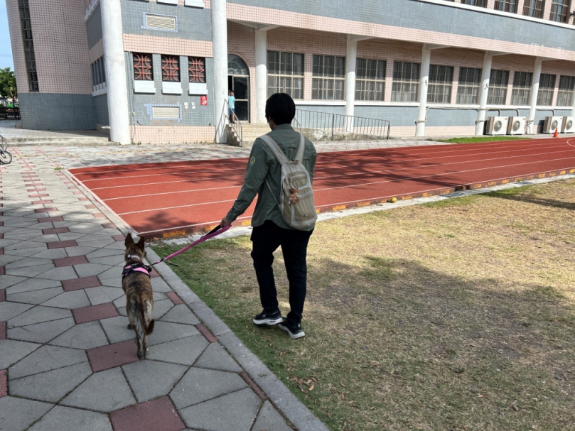屏縣動保條例今起上路  遛狗不繫繩最高開罰1萬5