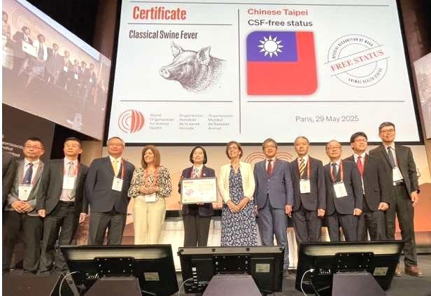 拔針成功！ 台灣正式成為亞洲唯一同時取得豬瘟、口蹄疫、非洲豬瘟三大豬病非疫國認證國家！