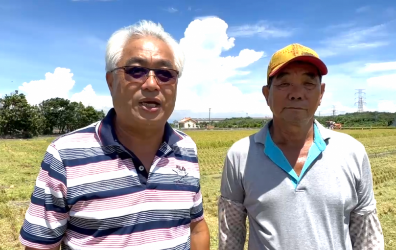 日本米荒價高搶不到 台灣好米救援 台灣米商引進日本品種與農民契作 導入泰霖生物科技無毒資材 產量比去年試種多出3至4成！