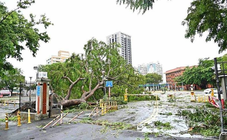 丹娜絲颱風高雄遊艇翻覆、海軍浮箱斷纜