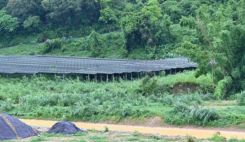 高雄大樹區和山光電場濫墾丹娜絲颱風過境幸未釀重大災害