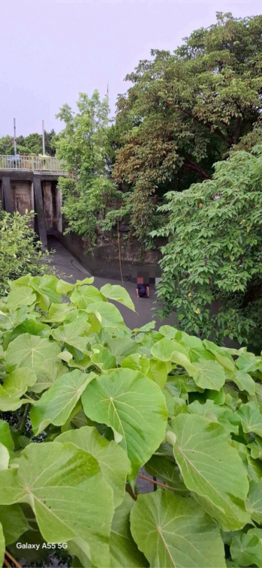 2人墜落卑南大圳｜親水公園涼亭後方，架梯拋繩，平安獲救！