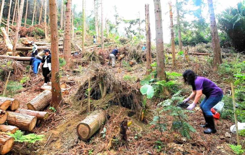 嘉義智選假日酒店落實企業環保永續責任 攜手農村水保署南投分署、番路鄉公興社區推動植樹行動 落實「淨零共植.永續同行」!