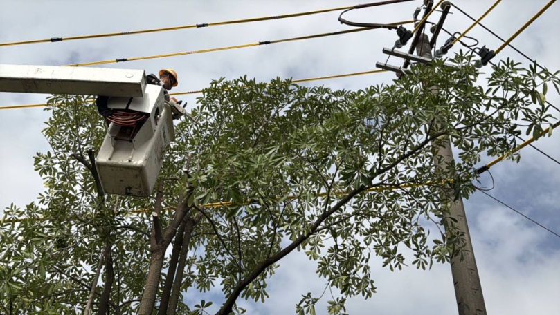 防患鳳凰颱風 台電嘉義區處啟動防颱機制 完成搶修人力、通訊、車輛機具整備 守護供電安全