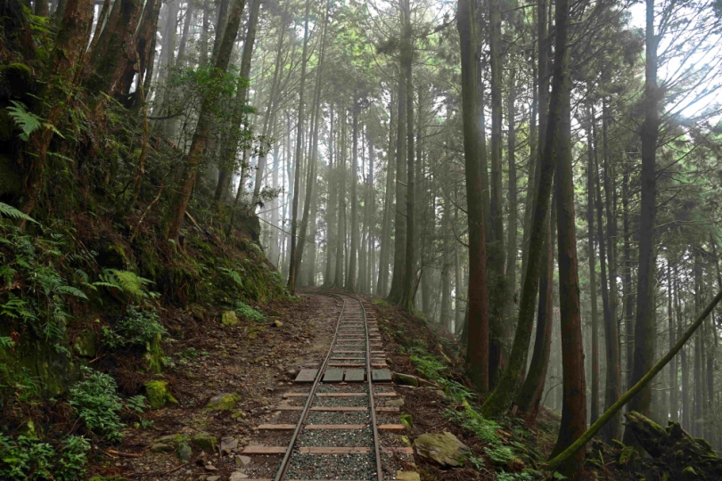 連續獲獎  林保分署「特富野古道」再獲工程永續與環境美學獎特優殊榮