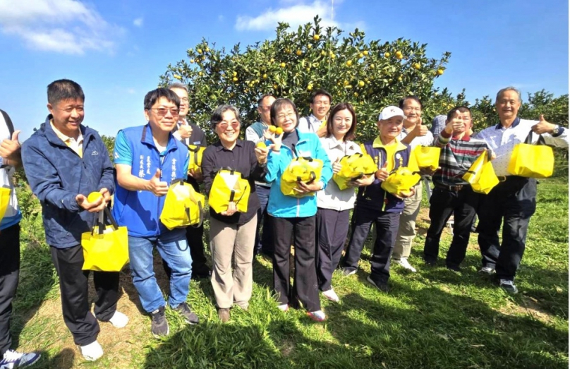 雲林柳丁盛產季節 全台主要產地古坑鄉公所將於12/13-14 在古坑綠色隧道228公園大草原 盛大舉辦行銷推廣活動~