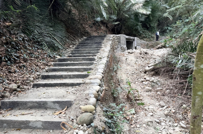 雲林林內龍過脈森林步道鐵管坑至坪頂路線(C、D線)完成整修 安全升級體驗更完善 12/1起重新開放！
