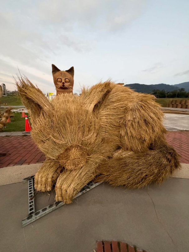 哇,好多喵!|貓咪稻草迷宮,12/24日帶您走入喵喵在富里的奇幻冒險旅程!