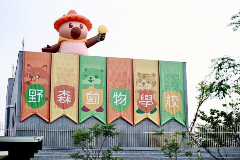 高雄內門休閒園區轉型「野森動物學校」115年試營運