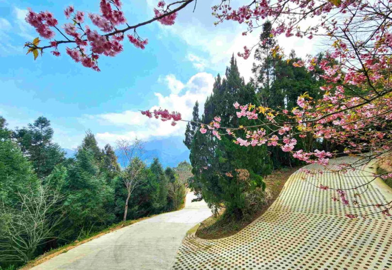 農業部農村水保署6項工程與同仁施美琴科長個人榮獲全國金質獎肯定 展現水土保持與農村建設整合豐碩成果！