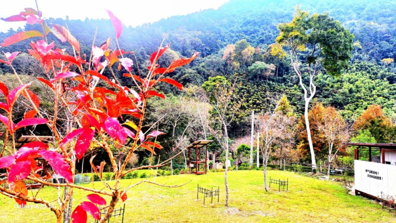 竹縣核發首件農牧用地露營場登記  五峰鄉「鹿林濤營地」奪得頭籌