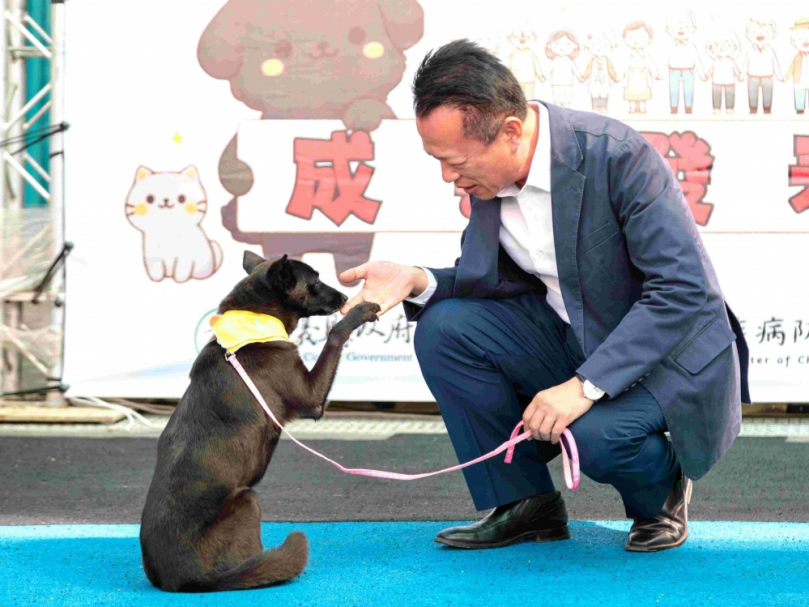 嘉義縣獨創「浪浪就業服務站」 浪浪成為夥伴不再流浪！