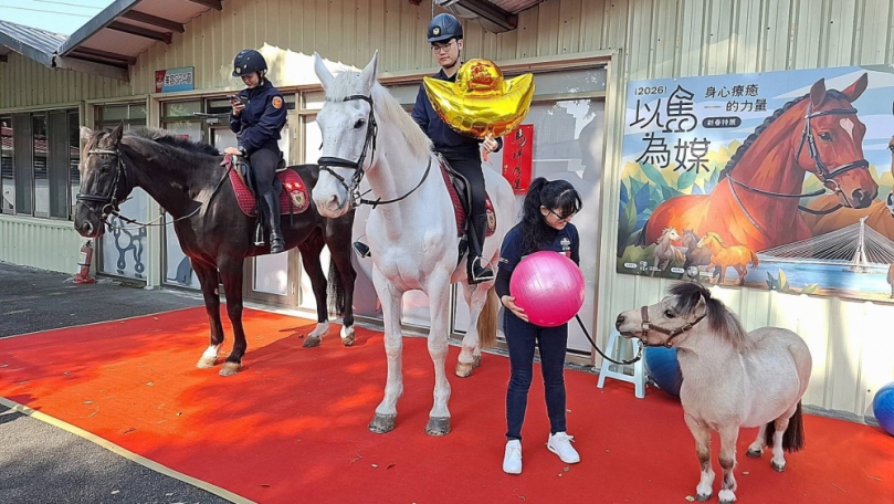馬年迎春「2026以馬為媒　身心療癒的力量新春特展」新北打造友善動物療癒城市