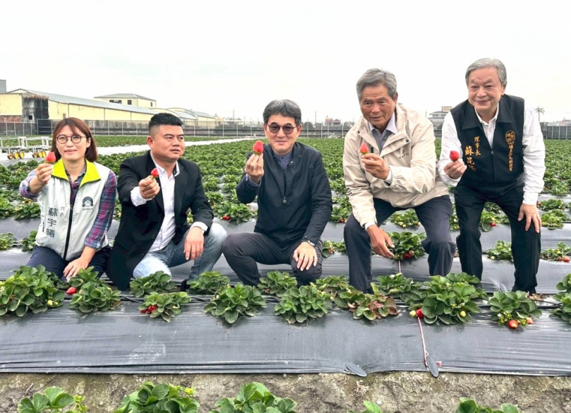 雲林褒忠「魚菜共生」草莓進軍超商 立委劉建國:政府應積極協助擴大產能!