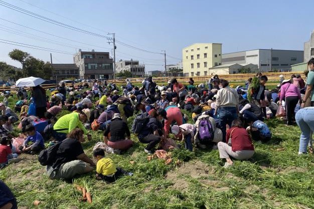 橘紅木棉花海迎春 將軍紅蘿蔔同樂會熱鬧登場