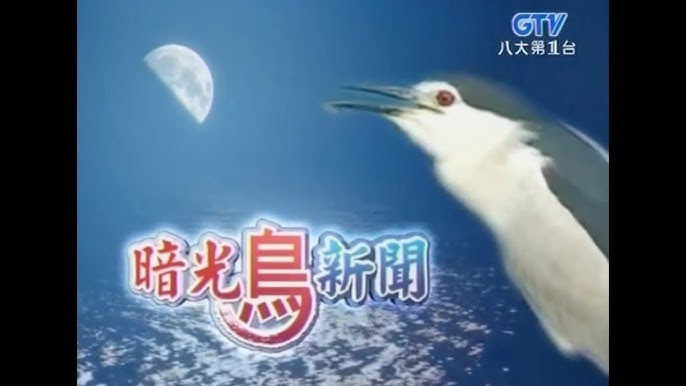 《暗光鳥新聞》主持人「高博士」即為 高哲翰 在台灣媒體與學術界角色分析