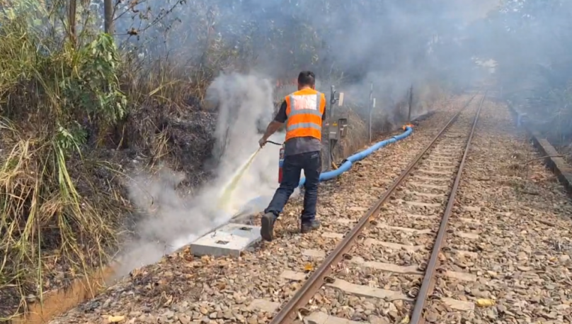 阿里山林鐵市區鐵道邊坡雜草起火 森里號測試列車經過及時滅火 光纖線路及電纜線受損將求償