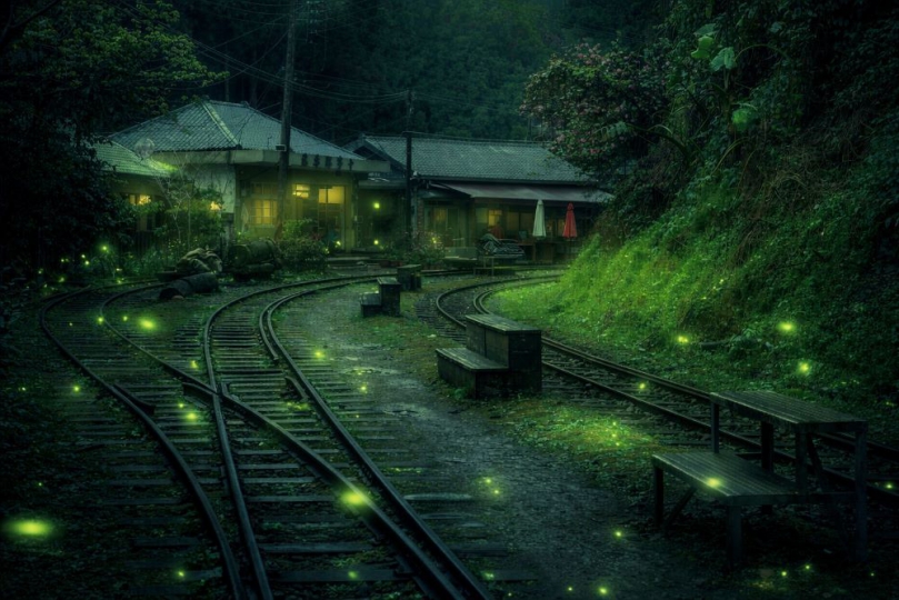 阿里山賓館「螢來星光，奇幻旅程」 國際級鐵道螢河親子步道賞螢趣