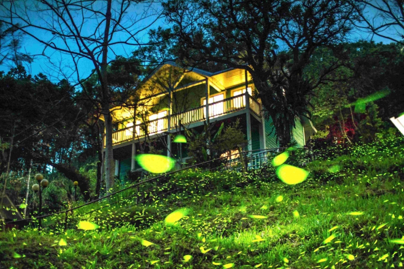 2026螢光奇緣 跟著「獨角龍豆豆&豆比」走進嘉義縣 遊賞夢幻迷人生態景致〜