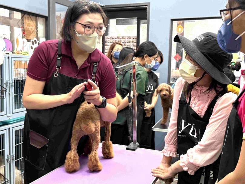 毛孩變身最佳導師〜雲林虎尾就業中心安排毛家長化身一日美容師 在歡樂與學習中踏出職涯探索嶄新一步！