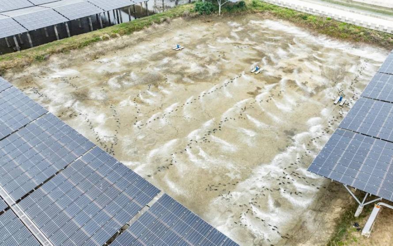 嘉義漁電共生一期F區撤照案延燒 養殖戶與地主聯名加入爭取協商