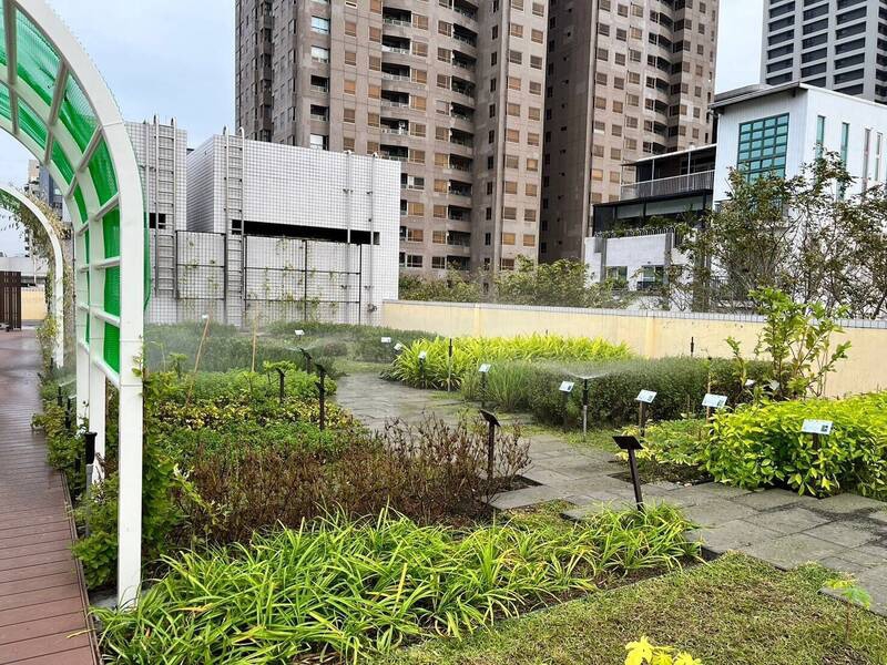 高雄綠化補助二階開跑最高80萬元