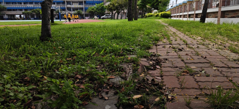 大同國小校園「連鎖磚步道」破損，危及學童安全，立委陳素月承諾積極爭取經費修繕。（照片大同提供）