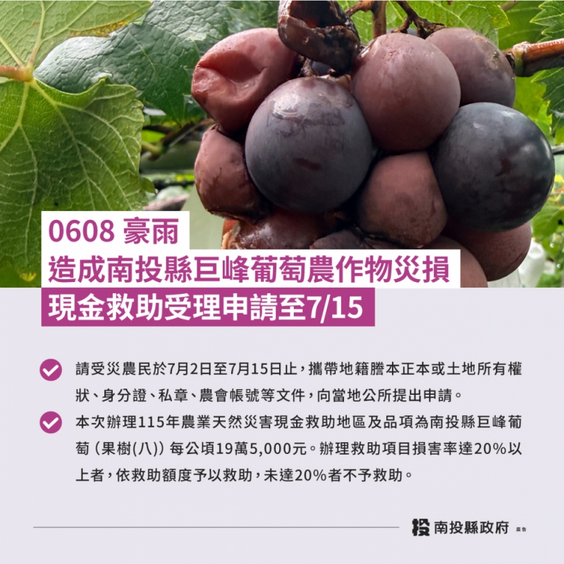 0608豪雨造成本縣巨峰葡萄農作物災損農業部同意辦理現金救助
