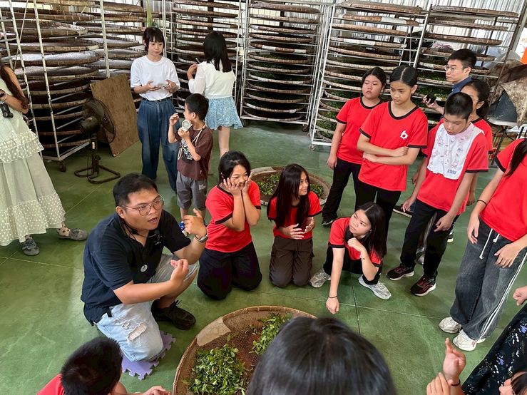 茂林環境教育中心推六龜山茶課程