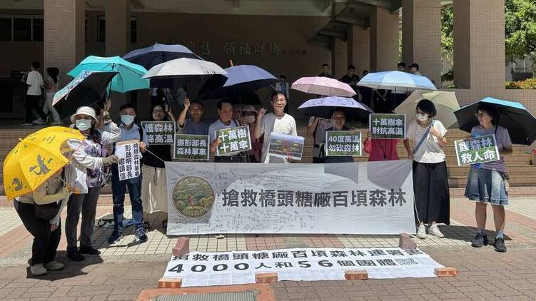 高雄護樹團體搶救橋糖10萬天然樹傘