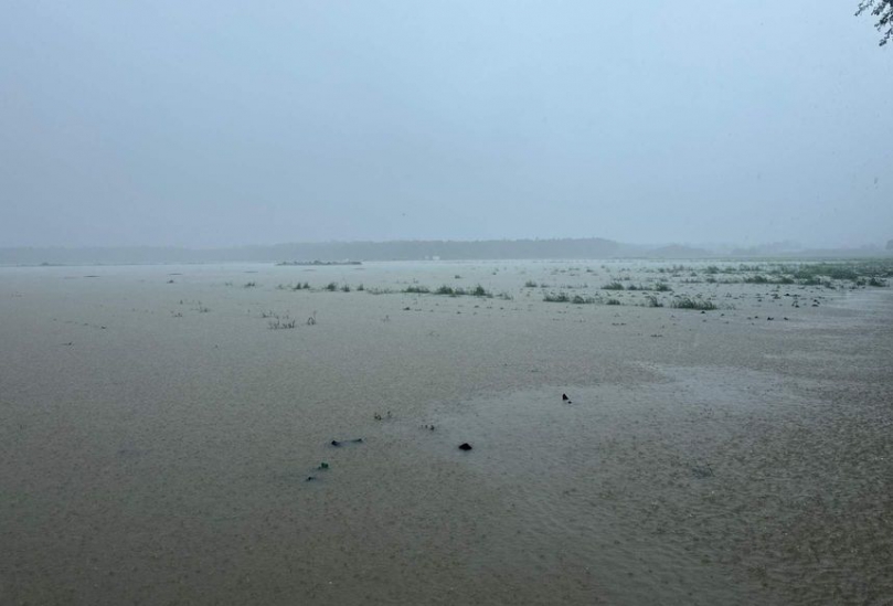 八月下旬豪雨致災農業現金救助及低利貸款申請延長至九月十八日