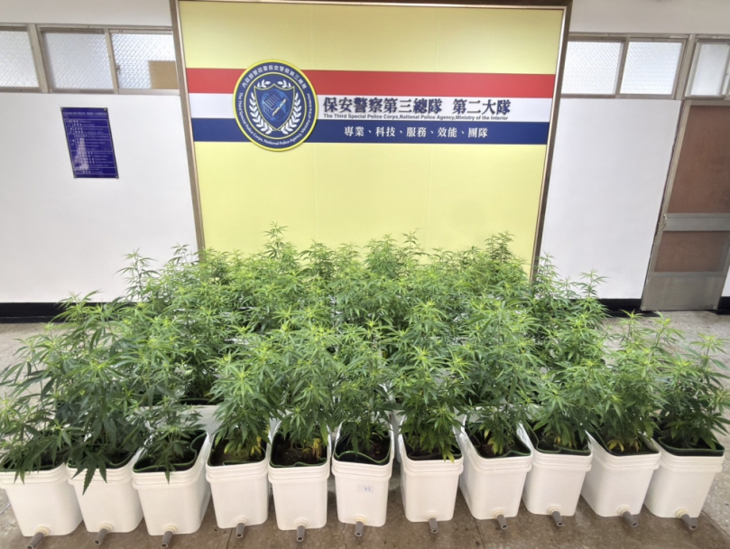 1株變67株   保三總隊瓦解隱身嘉市區「高科技扦插分身術」大麻工廠  二嫌遭嘉檢提起公訴