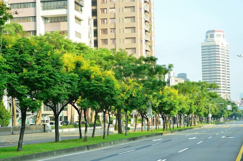 台灣欒樹開花、高雄秋季換裝公園處盤點賞花場域