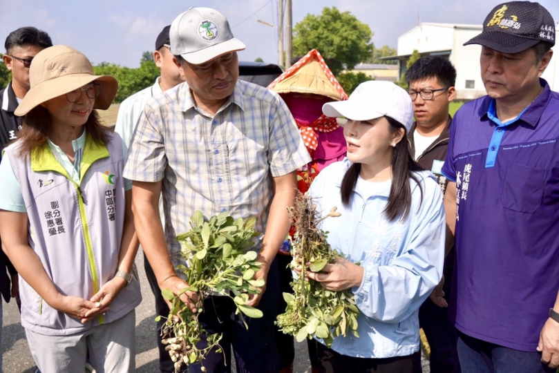 八月豪雨致雲林落花生延遲性災損 立委張嘉郡爭取全縣災損補助 今赴虎尾、土庫、北港勘災 籲農業部「從速、從寬、從簡」救助!