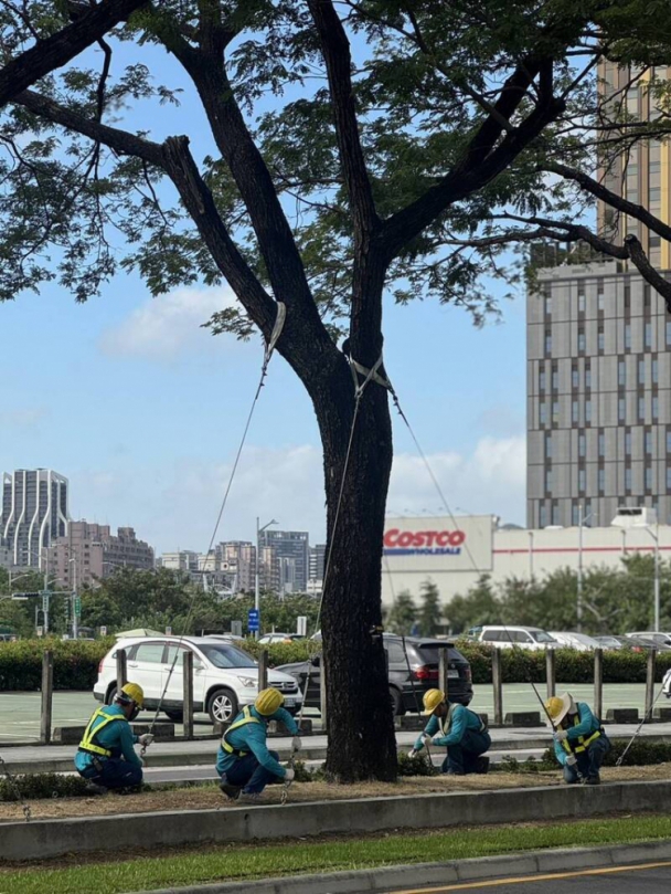 高雄陽光露臉風力加劇氣象站發強風特報