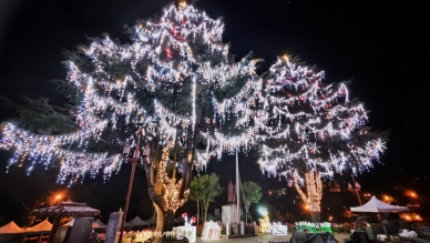 2023山谷燈光節試燈 30日點亮全台海拔最高的聖誕樹